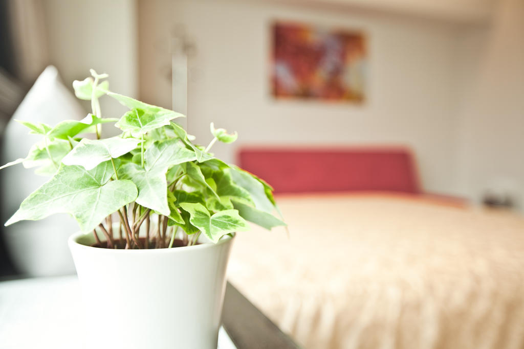 Sodamazon Business Hotel Чжунлі Номер фото